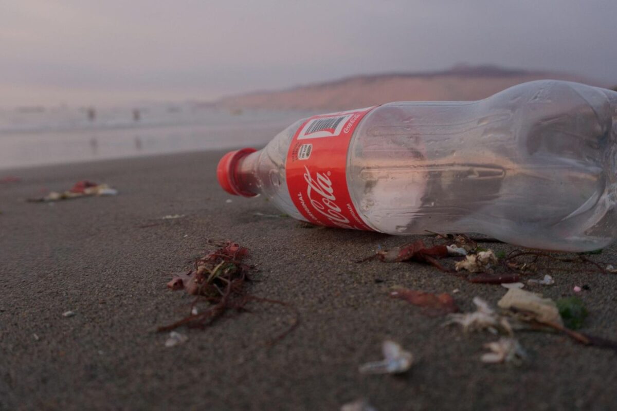 Reducing Environmental Impact: Accusations Against Coca-Cola, Danone, and Nestle's Plastic Claims